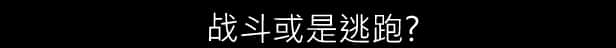 视觉数据5
